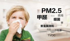佛山辦公室除甲醛土方法 佛山新房除甲醛什么價格？