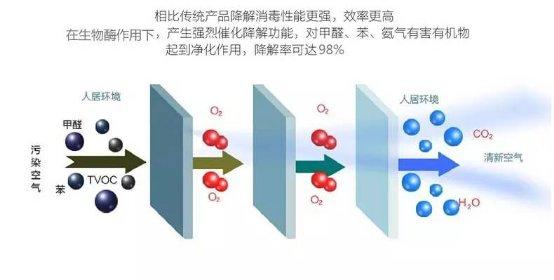 光觸媒、生物酶、空氣凈化器，哪家除甲醛公司效果好？